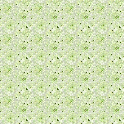 Download this free website background